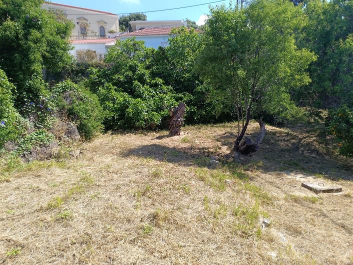 Image No.20-Terre à vendre à Domata