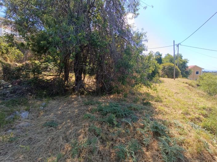 Image No.21-Terre à vendre à Domata