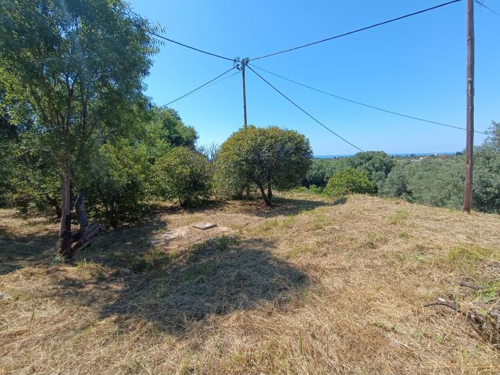 Image No.22-Terre à vendre à Domata