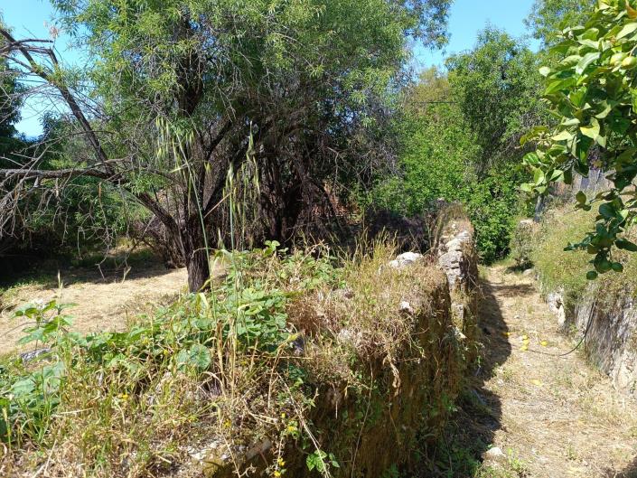 Image No.24-Terre à vendre à Domata