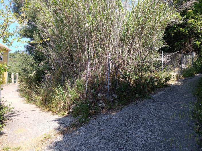 Image No.27-Terre à vendre à Domata