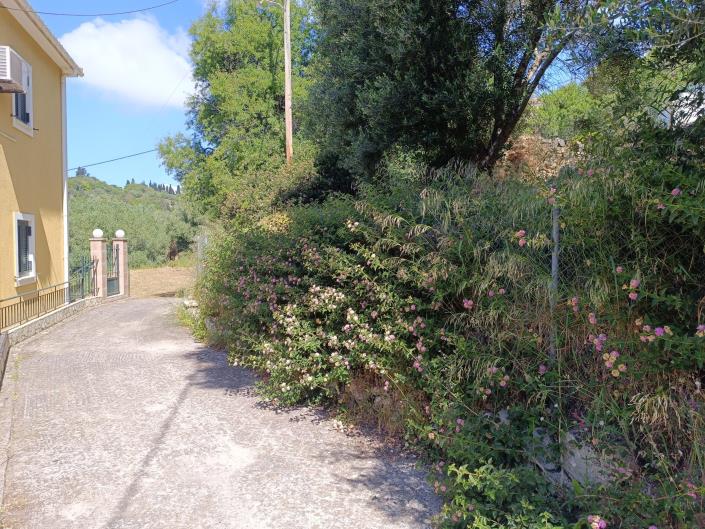 Image No.28-Terre à vendre à Domata