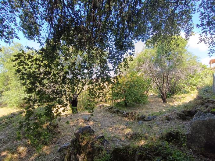 Image No.29-Terre à vendre à Domata