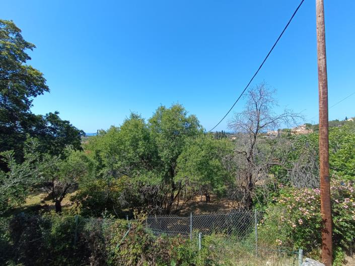 Image No.31-Terre à vendre à Domata