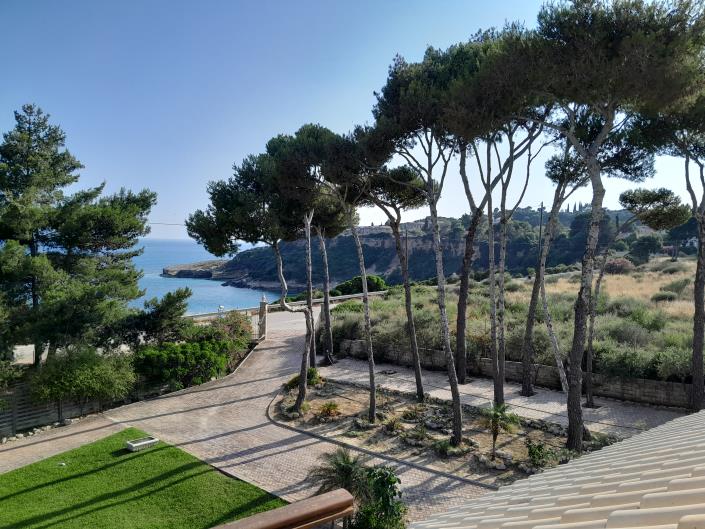 Image No.6-Villa de 10 chambres à vendre à Pesada