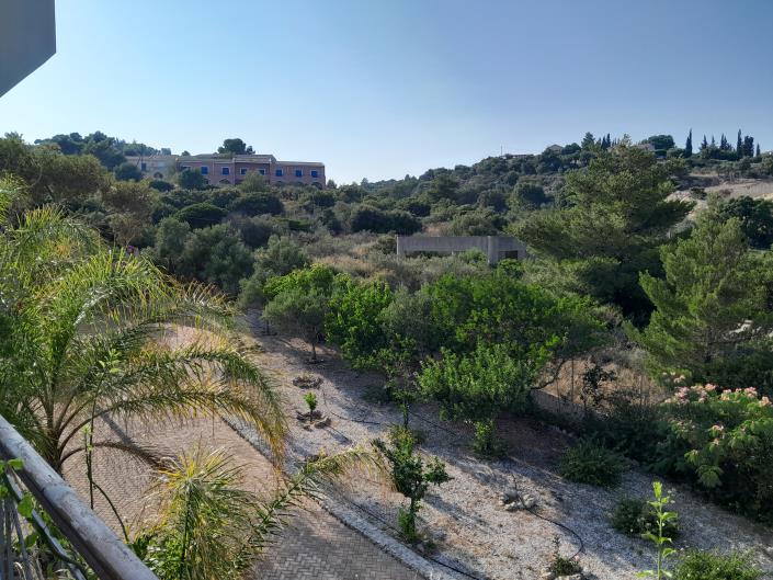 Image No.23-Villa de 10 chambres à vendre à Pesada