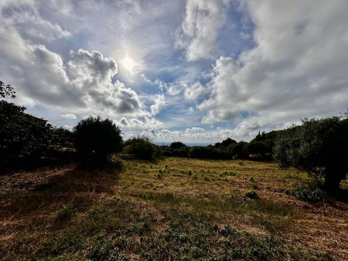 Image No.5-Terrain à vendre à Maganos