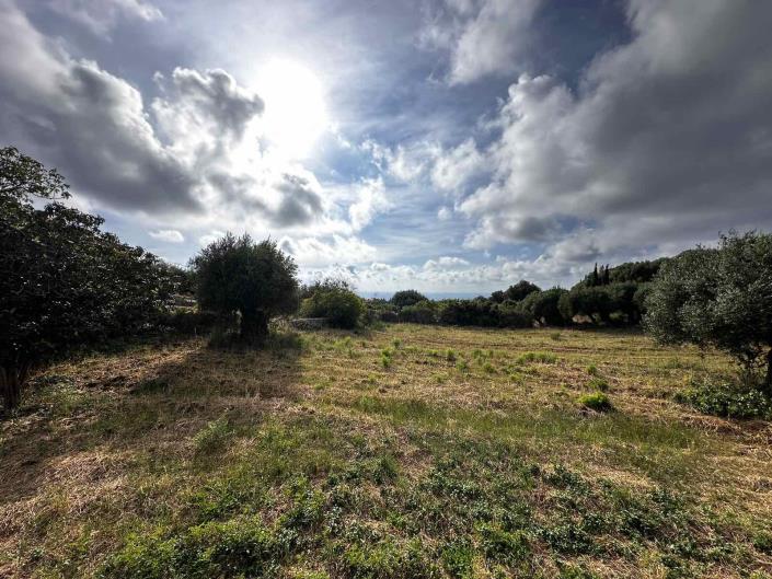 Image No.6-Terrain à vendre à Maganos