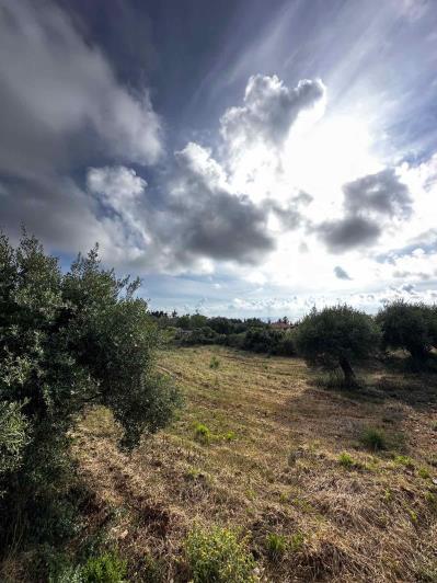 Image No.7-Terrain à vendre à Maganos