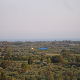 14--THE-LOCATION-OF-VINEYARDS-AND-THE-HOUSE-IN-THE-BLUE-ARROW