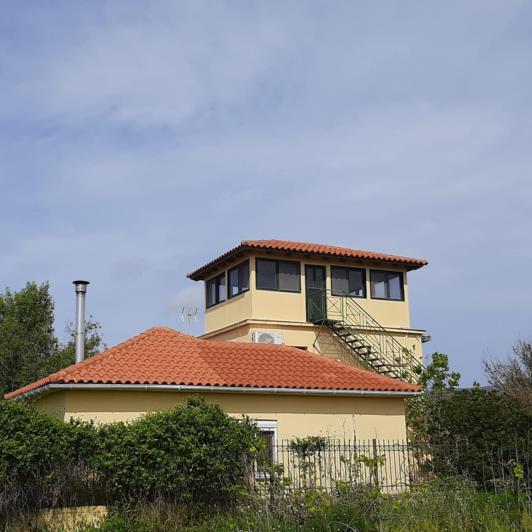 Image No.9-Vignoble à vendre à Matzavinata