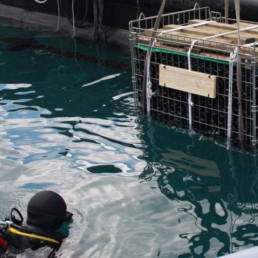 Image No.13-Vignoble à vendre à Matzavinata