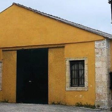 Image No.20-Vignoble à vendre à Matzavinata