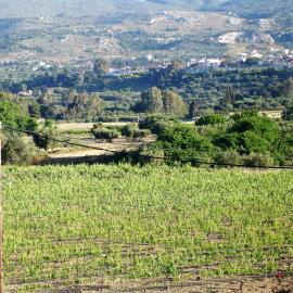 ---------------------------------