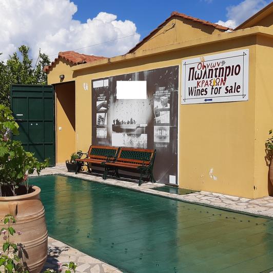 Image No.21-Vignoble à vendre à Matzavinata