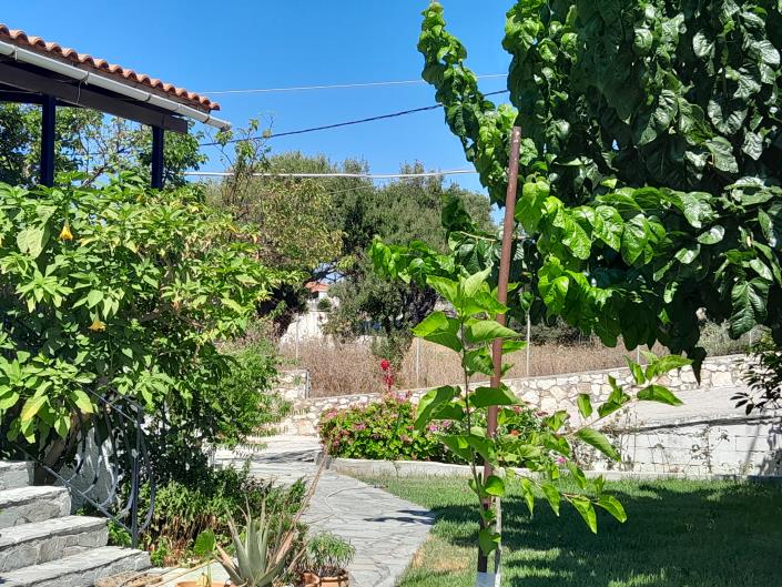 Image No.7-Maison de 3 chambres à vendre à Mavrata