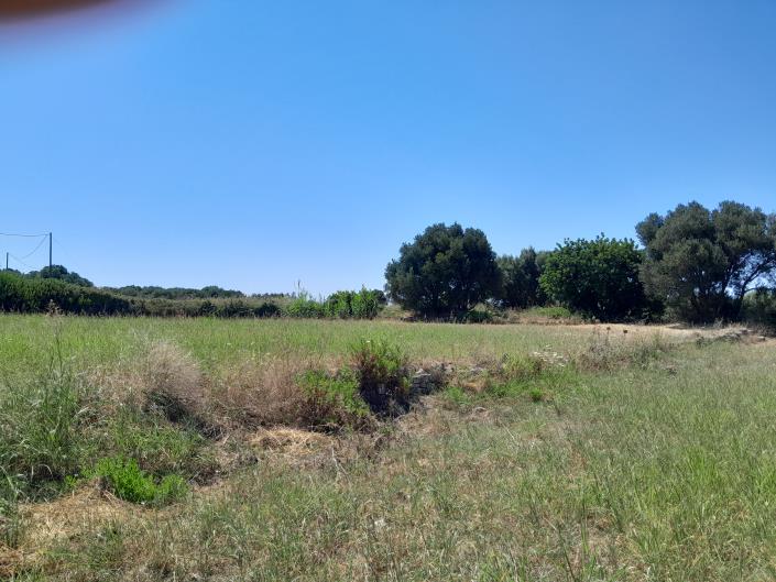 Image No.22-Maison de 3 chambres à vendre à Mavrata