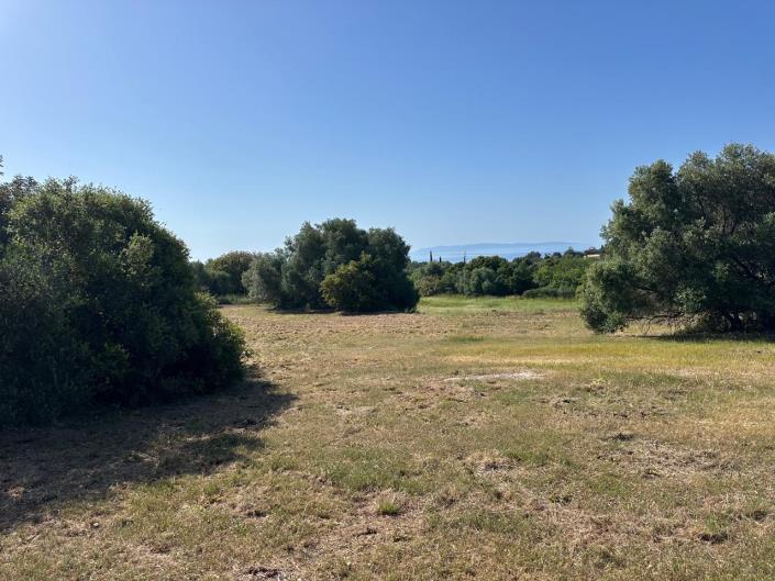 Image No.3-Terre à vendre à Mousata