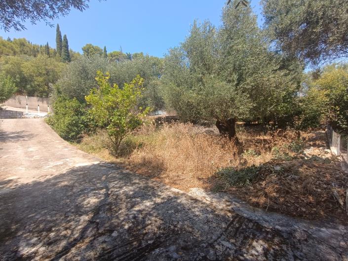 Image No.2-Terre à vendre à Faraklata