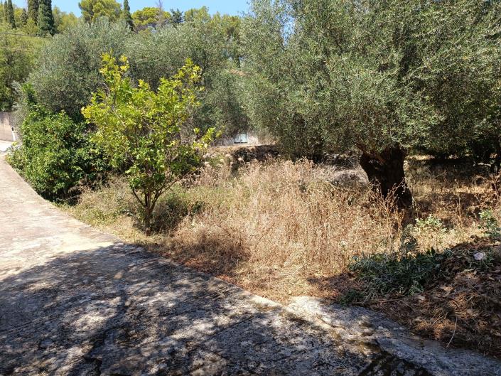 Image No.4-Terre à vendre à Faraklata