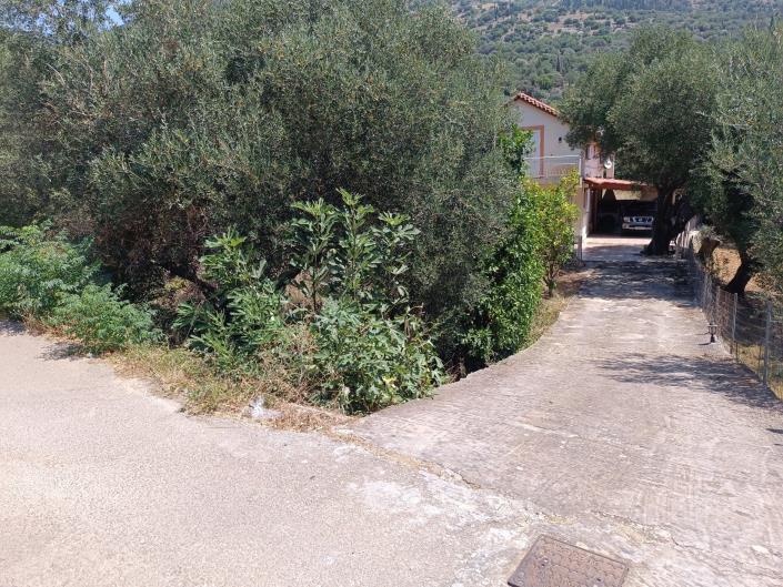 Image No.6-Terre à vendre à Faraklata