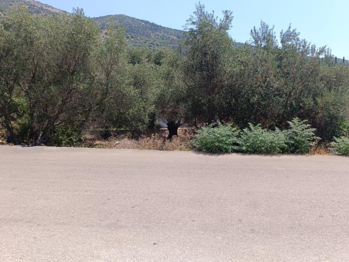 Image No.8-Terre à vendre à Faraklata