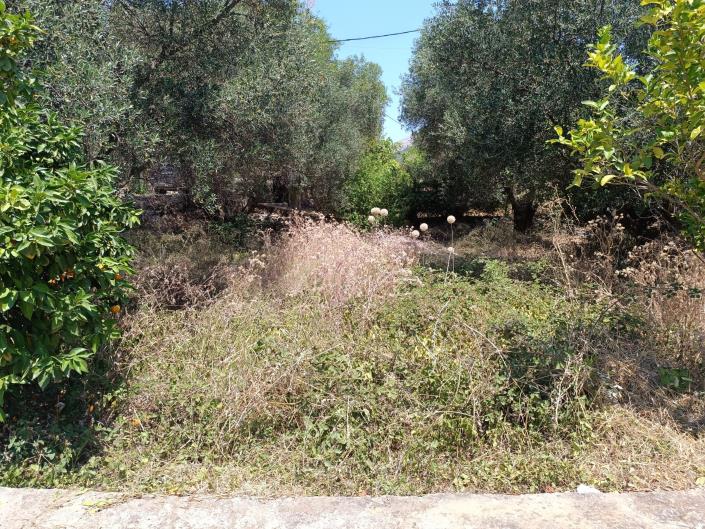 Image No.9-Terre à vendre à Faraklata