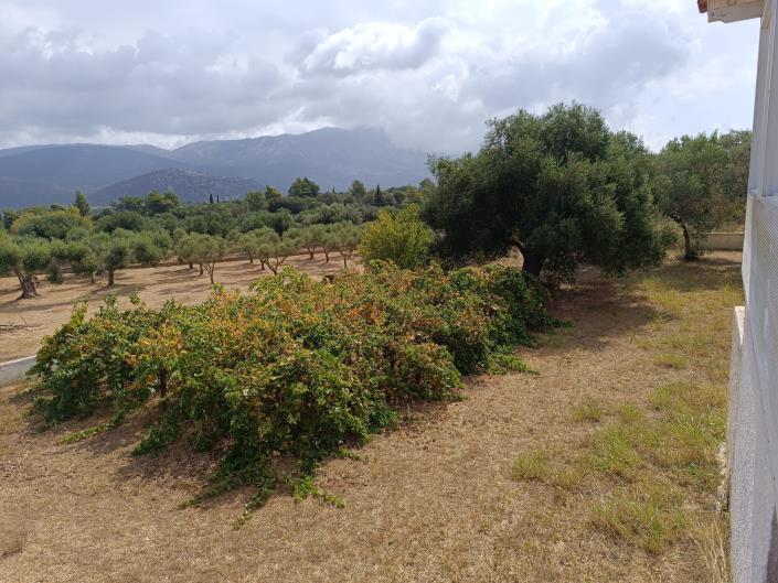 Image No.44-Maison de 3 chambres à vendre à Lakithra