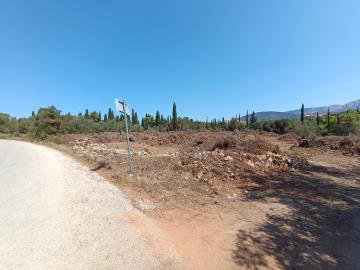 IMG_20250809_114004-scaled