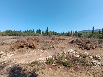 IMG_20250809_114050-scaled