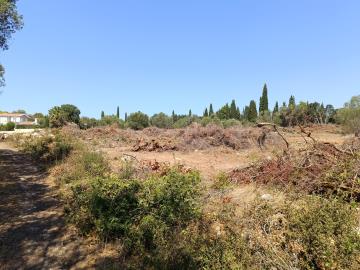 IMG_20250809_114151-scaled