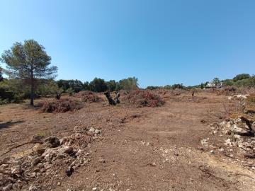 IMG_20250809_114314-scaled