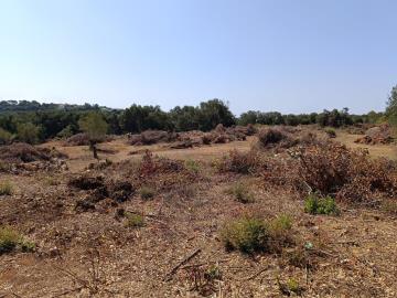 IMG_20250809_114403-scaled