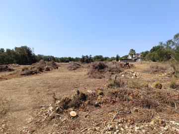 IMG_20250809_114523-scaled