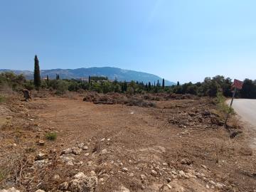 IMG_20250809_114741-scaled