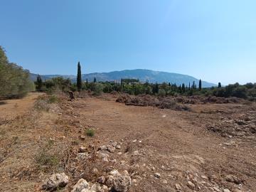 IMG_20250809_114744-scaled