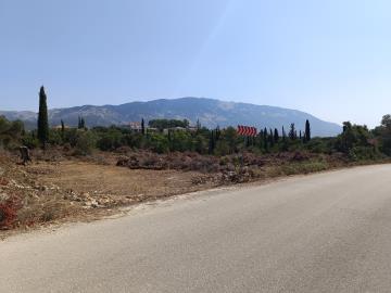 IMG_20250809_115024-scaled