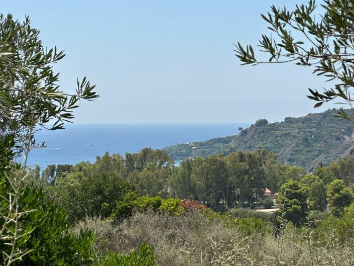 Image No.3-Terre à vendre à Kountourata