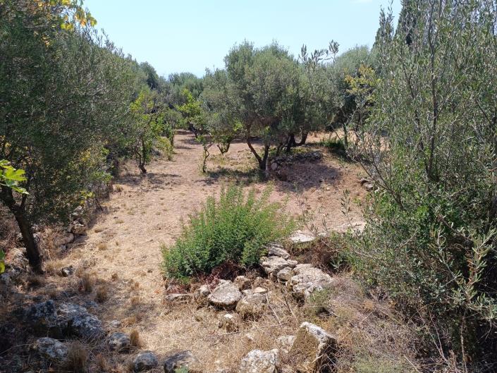 Image No.2-Terre à vendre à Ratzakli