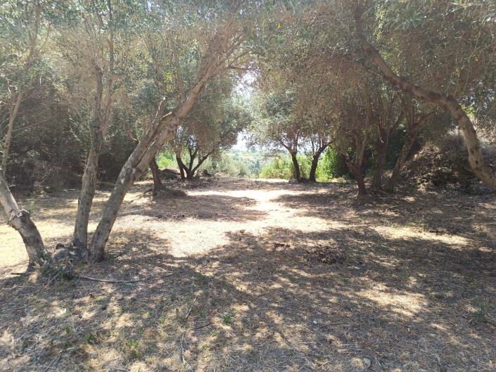 Image No.10-Terre à vendre à Ratzakli