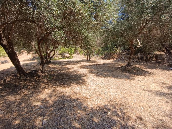 Image No.13-Terre à vendre à Ratzakli