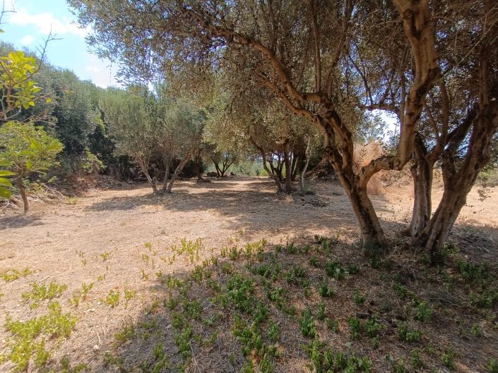 Image No.16-Terre à vendre à Ratzakli