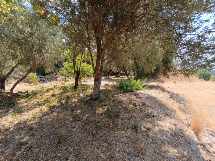 Image No.18-Terre à vendre à Ratzakli