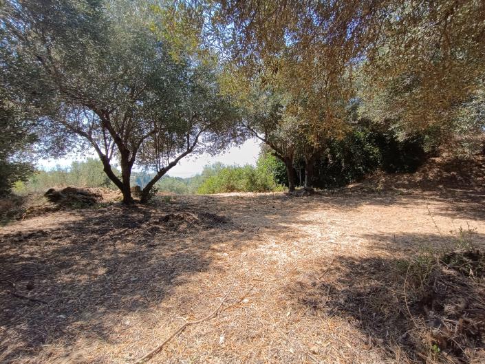 Image No.20-Terre à vendre à Ratzakli