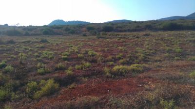 IMG-4c0ac80a810b5c079da2987f348bce31-V