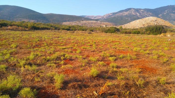 Image No.2-Terre à vendre à Karavados