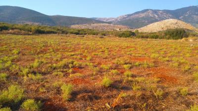 IMG-9703d520c8bc3d7e996ad404514b8d10-V