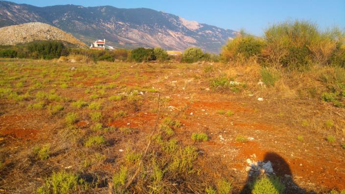 Image No.3-Terre à vendre à Karavados