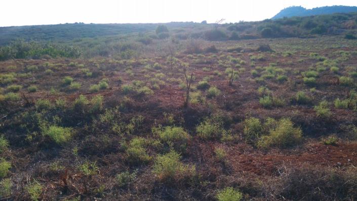 Image No.4-Terre à vendre à Karavados