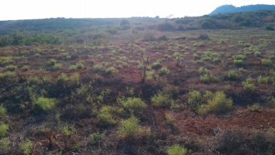 IMG-ac1db1e0c8dab4ff9a2592bae9e4a87f-V